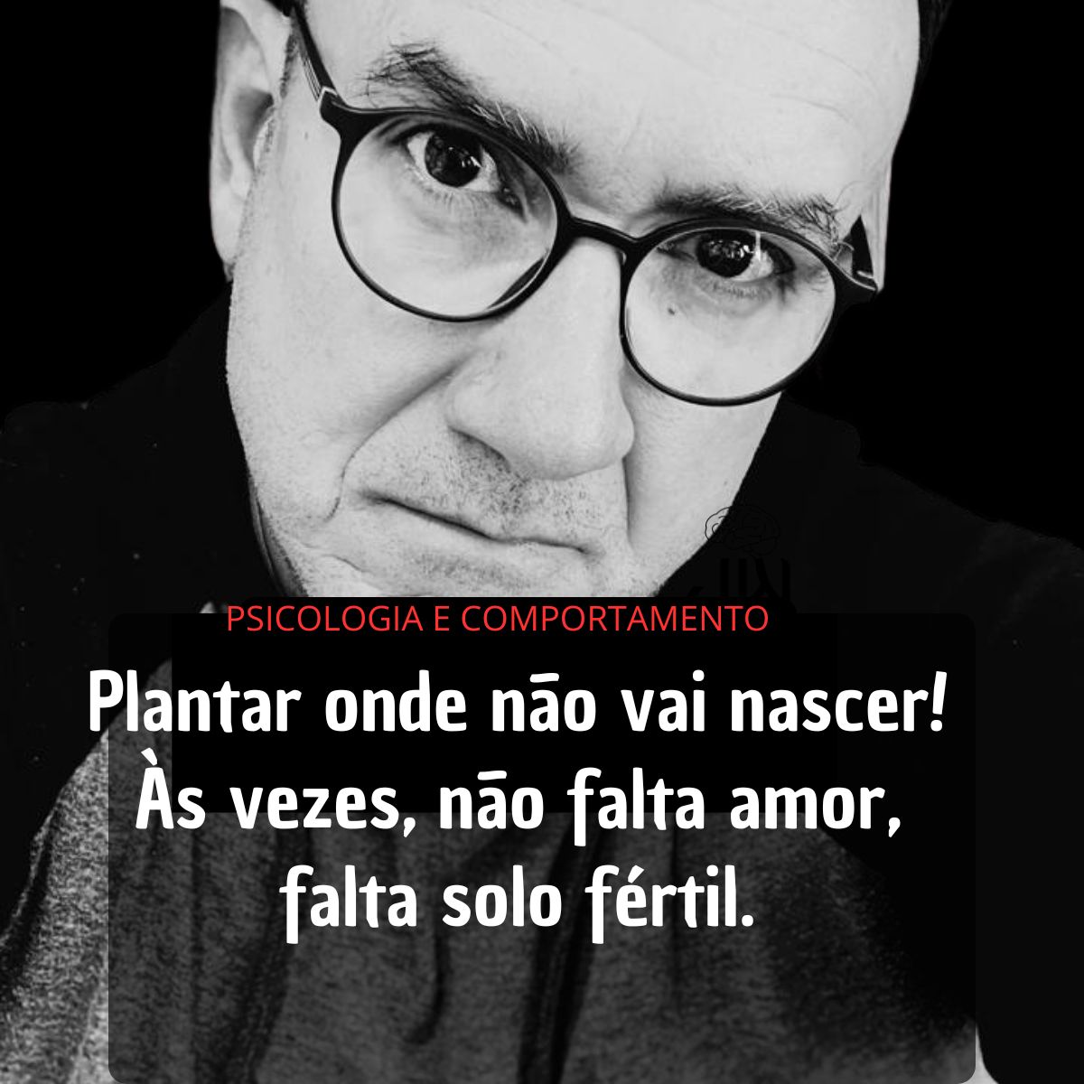PLANTAR ONDE NÃO VAI NASCER! AS VEZES, NÃO É FALTA DE AMOR, FALTA TERREO FÉRTIL